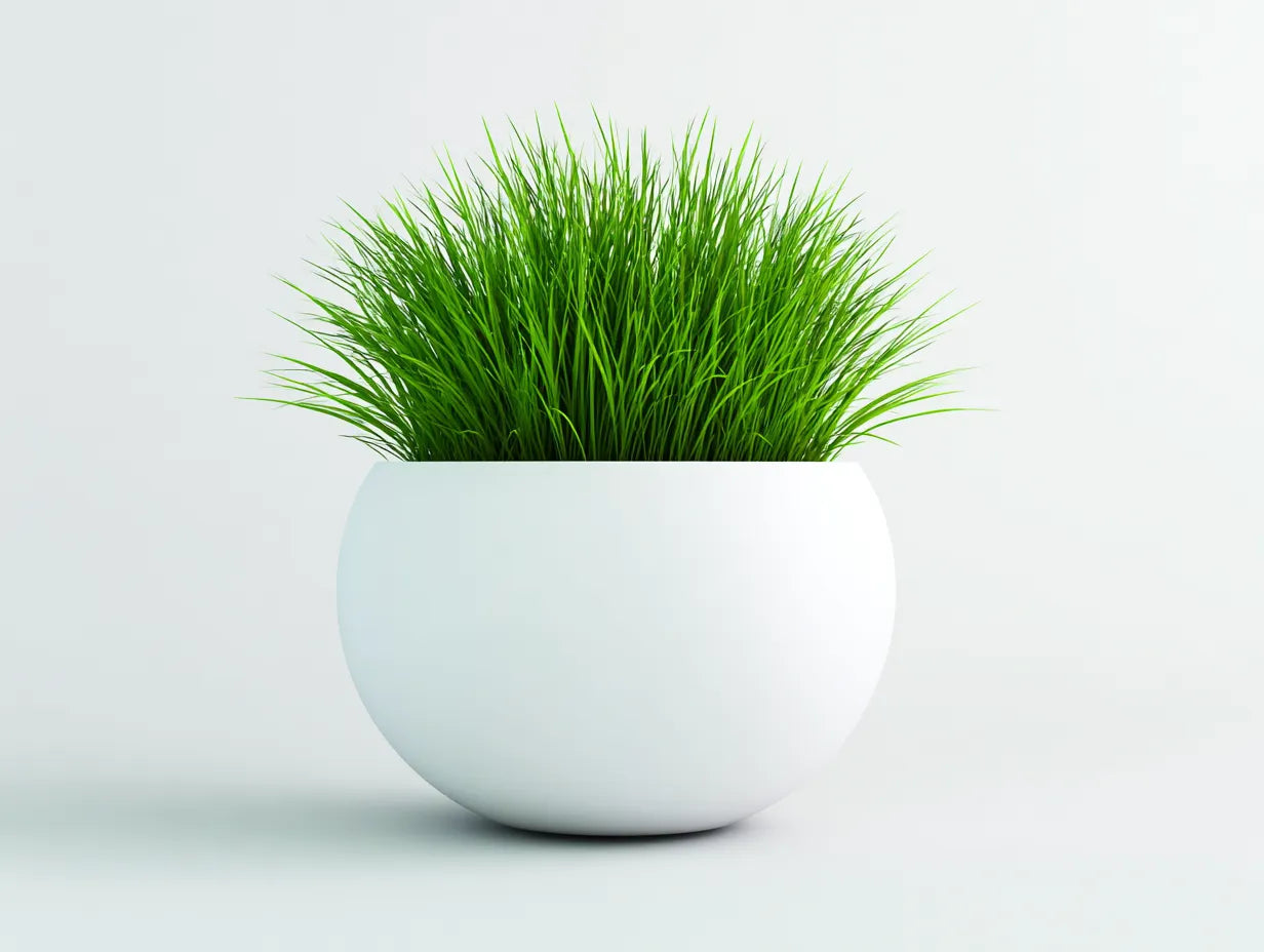Maceta redonda de resina 50×50×44 cm - blanca - para terraza moderna