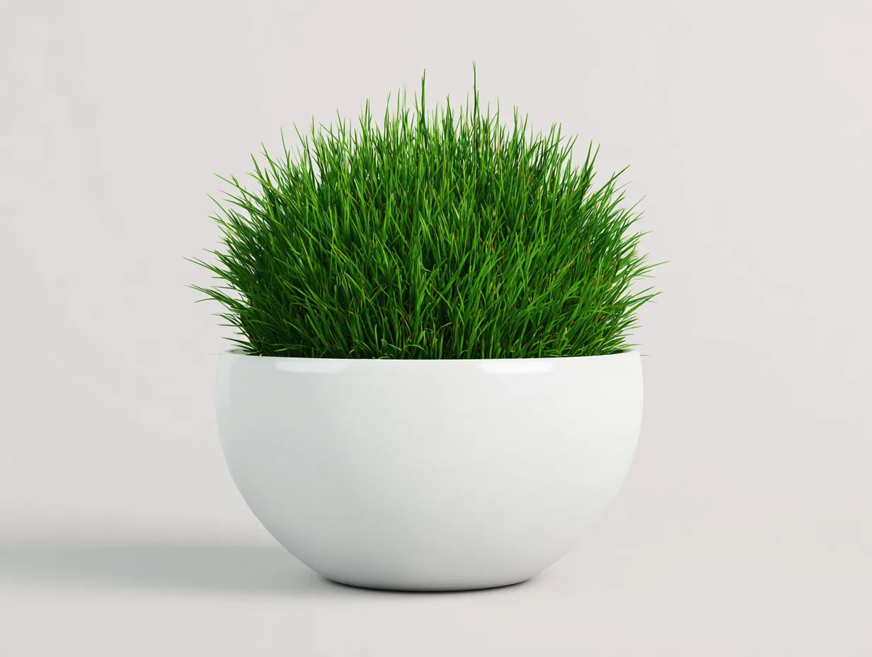 Maceta redonda 55×55×30 cm de fibra blanca con césped verde para balcón estilo minimalista