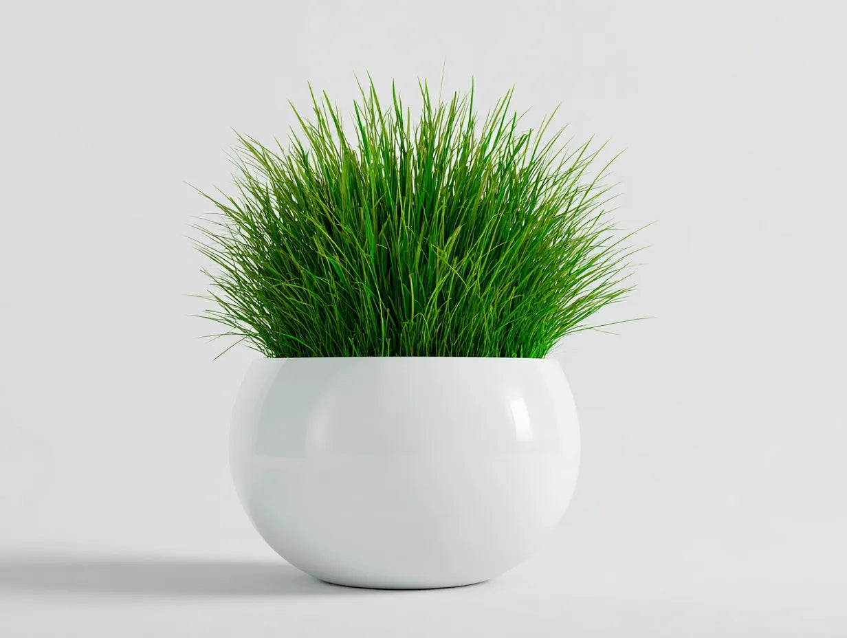 Maceta para balcón 40×40×38 cm – cerámica blanca – con planta verde para terraza