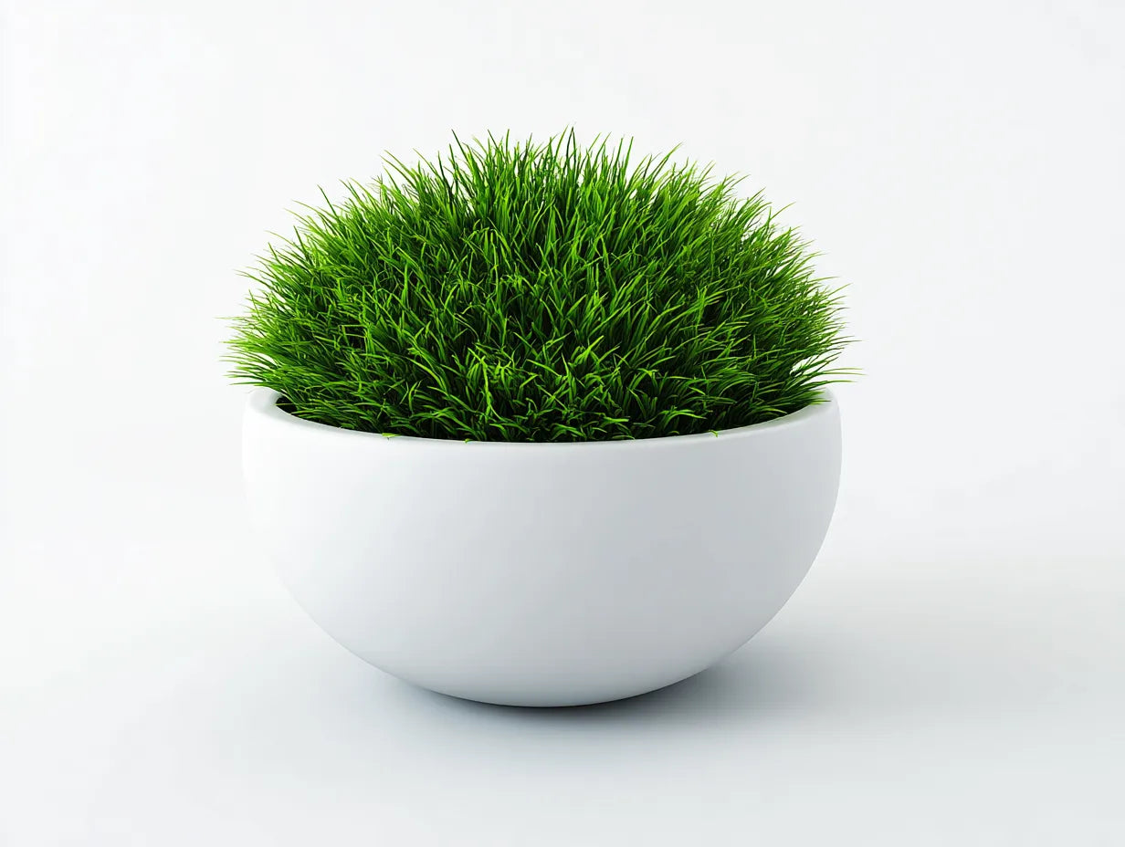 Maceta de balcón 38x38x28 cm – blanca – estilo moderno para terraza con diseño redondo