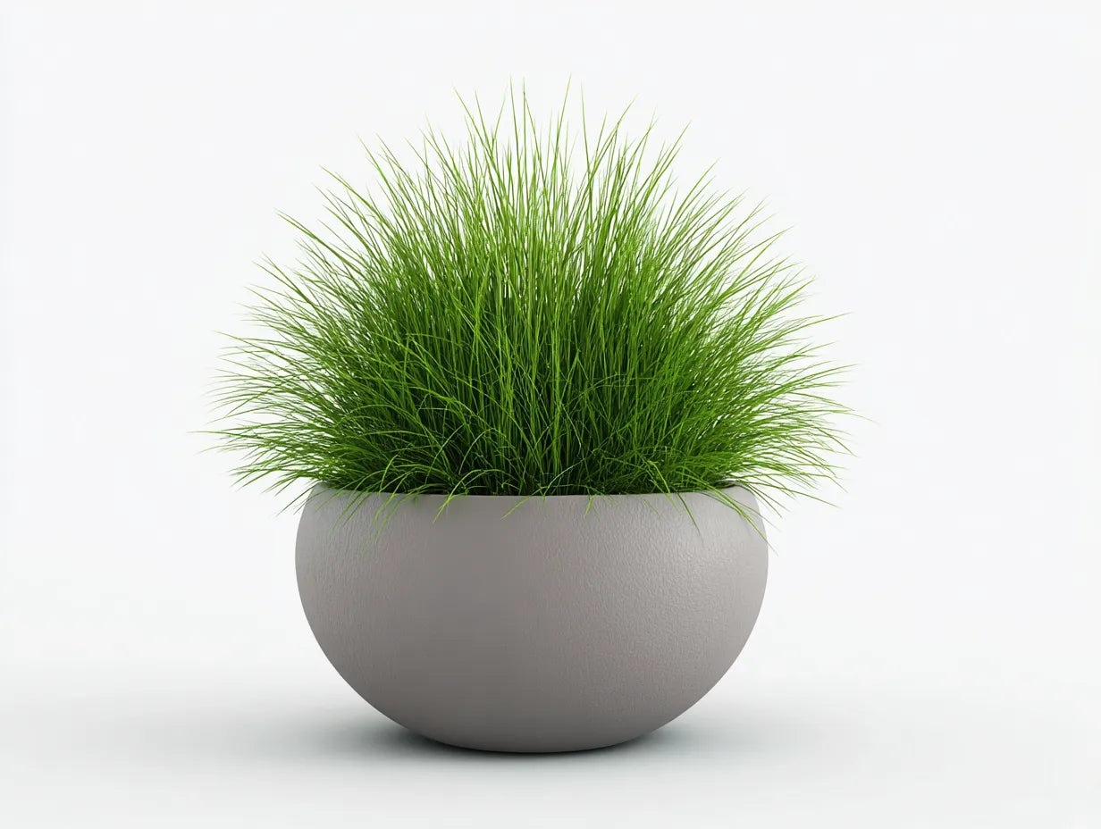 Maceta 35×35×30 cm – blanco y verde – diseño moderno para balcón