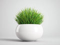 Maceta para balcón 36×36×34 cm – cerámica blanca – con planta verde para terraza