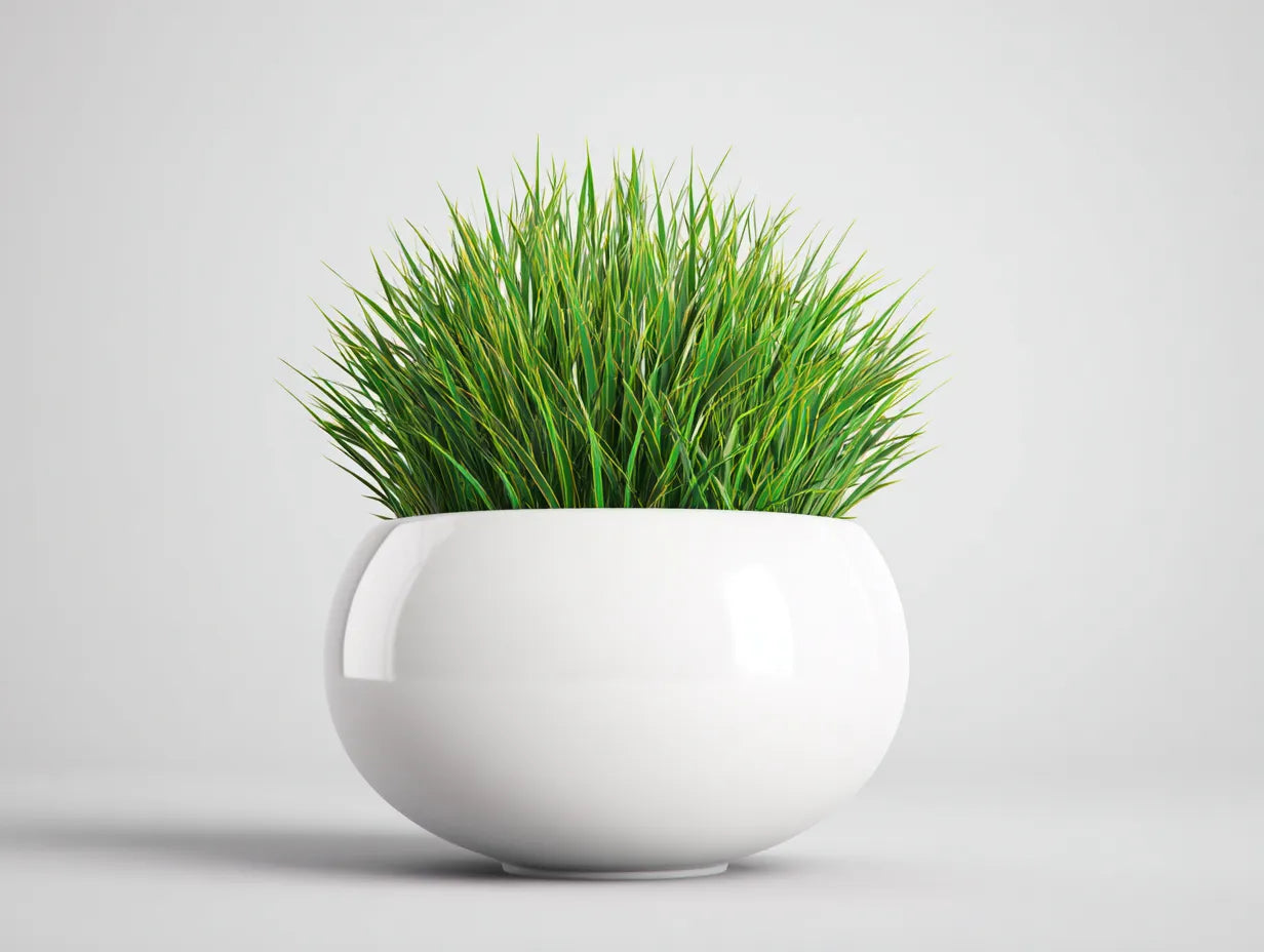 Maceta para balcón 36×36×34 cm – cerámica blanca – con planta verde para terraza