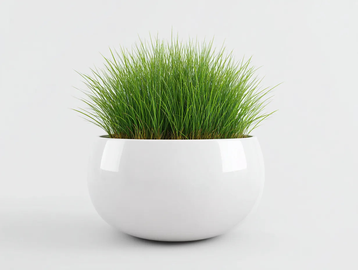 Maceta de balcón 40x40x30 cm – blanca – diseño minimalista redondo para terraza